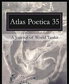 Atlas Poetica 35