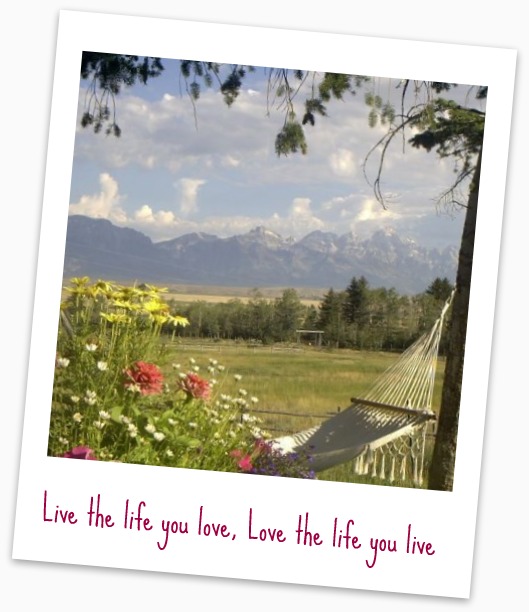 Love The Life You Live