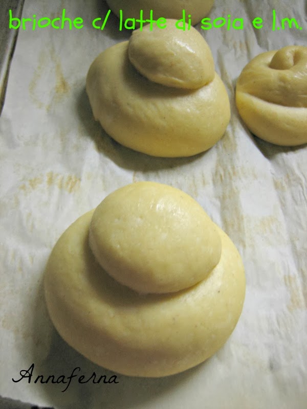 annafernamordiefuggi BRIOCHE CON PASTA MADRE E LATTE DI SOIA a doppia