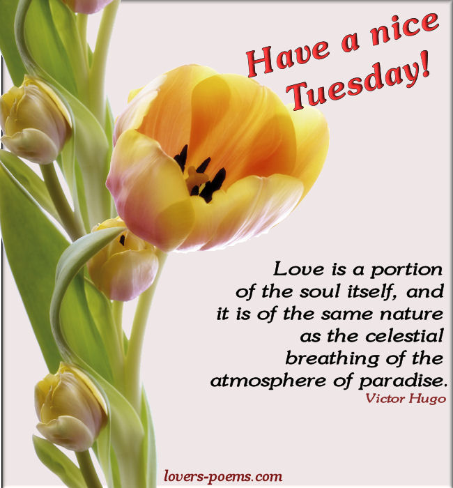 Gifs, Love Messages: Love Quotes, Tuesday Messages