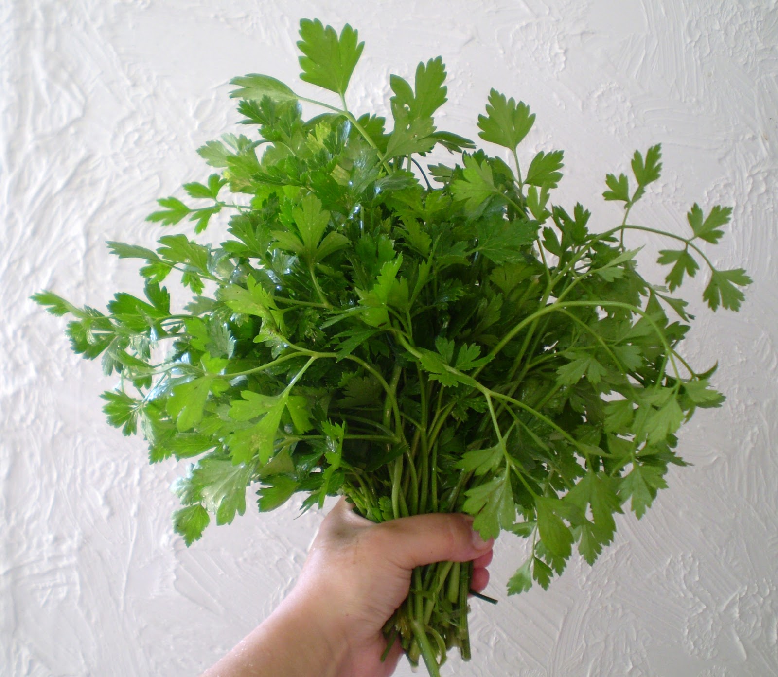 Green Jean more herbs