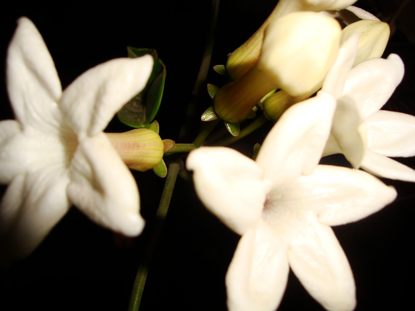 COSAS MIAS...: agosto 2013