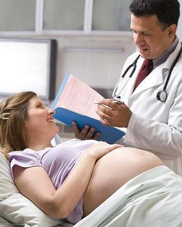 EL EMBARAZO EN UNA MUJER el embarazo en una mujer: