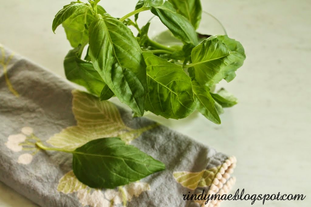 Rindy Mae How To Store Fresh Basil...For A Month