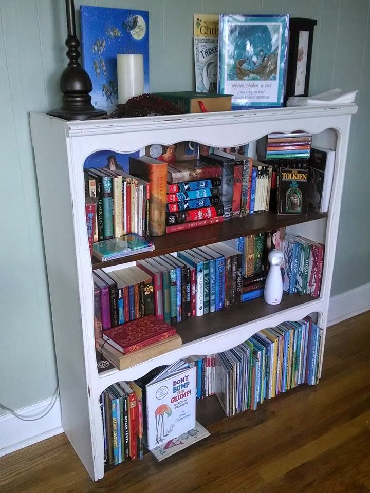 Hobby Hill The Bookshelf Refinishing Old Memories with Chalk Paint
