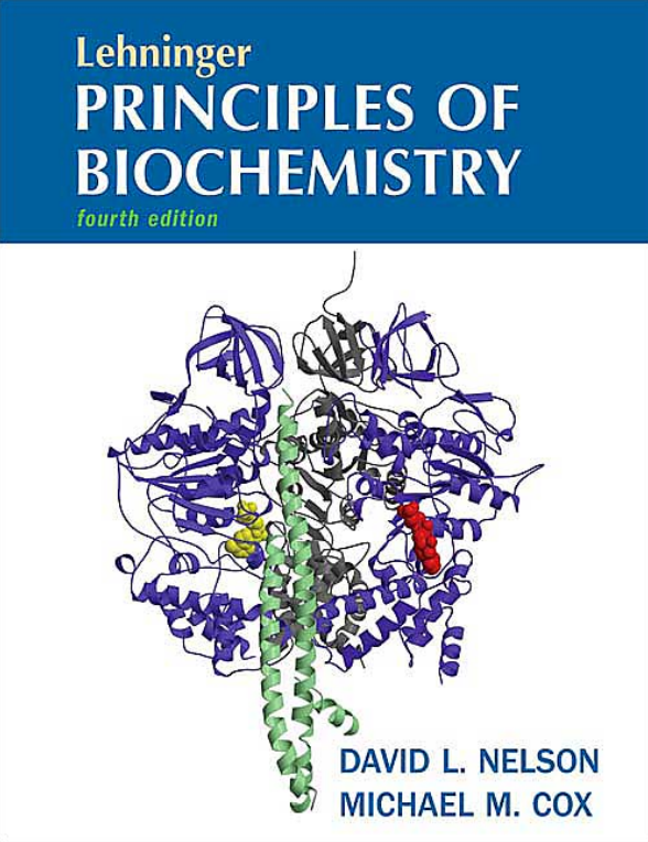 download immunocytochemistry in tumor