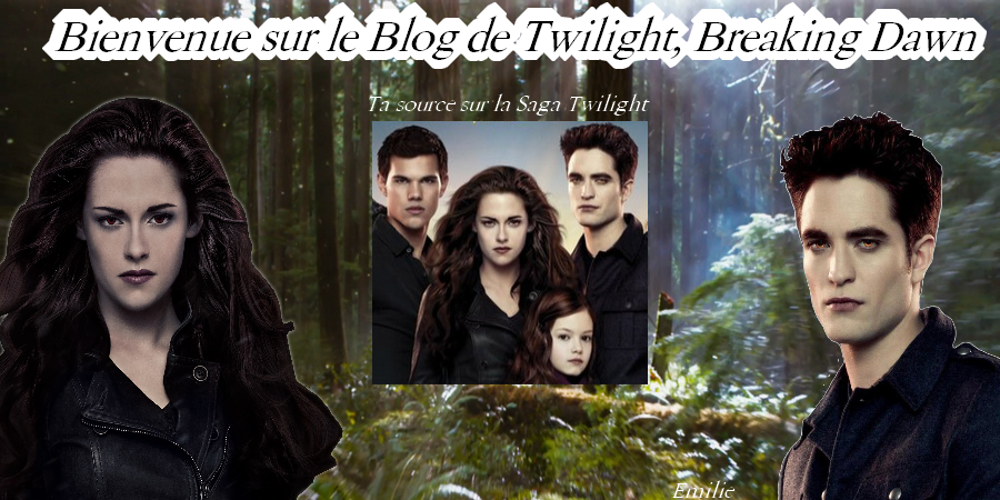 Twilight, Breaking Dawn ღ