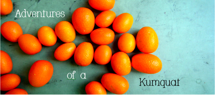Adventures of a Kumquat