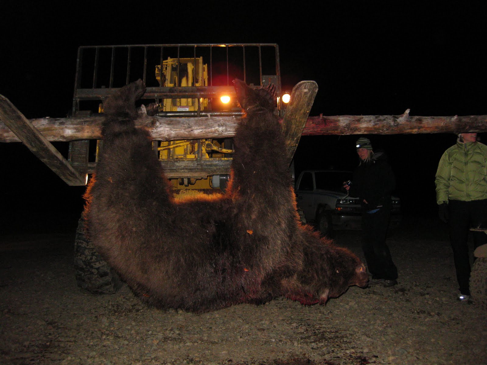 How to Hunt Bear Hunting Minnesota