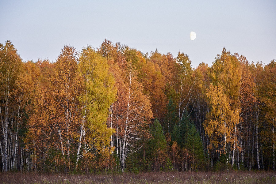 По всем Семи Браткам и дальше