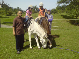 Bukit Tinggi, Pahang