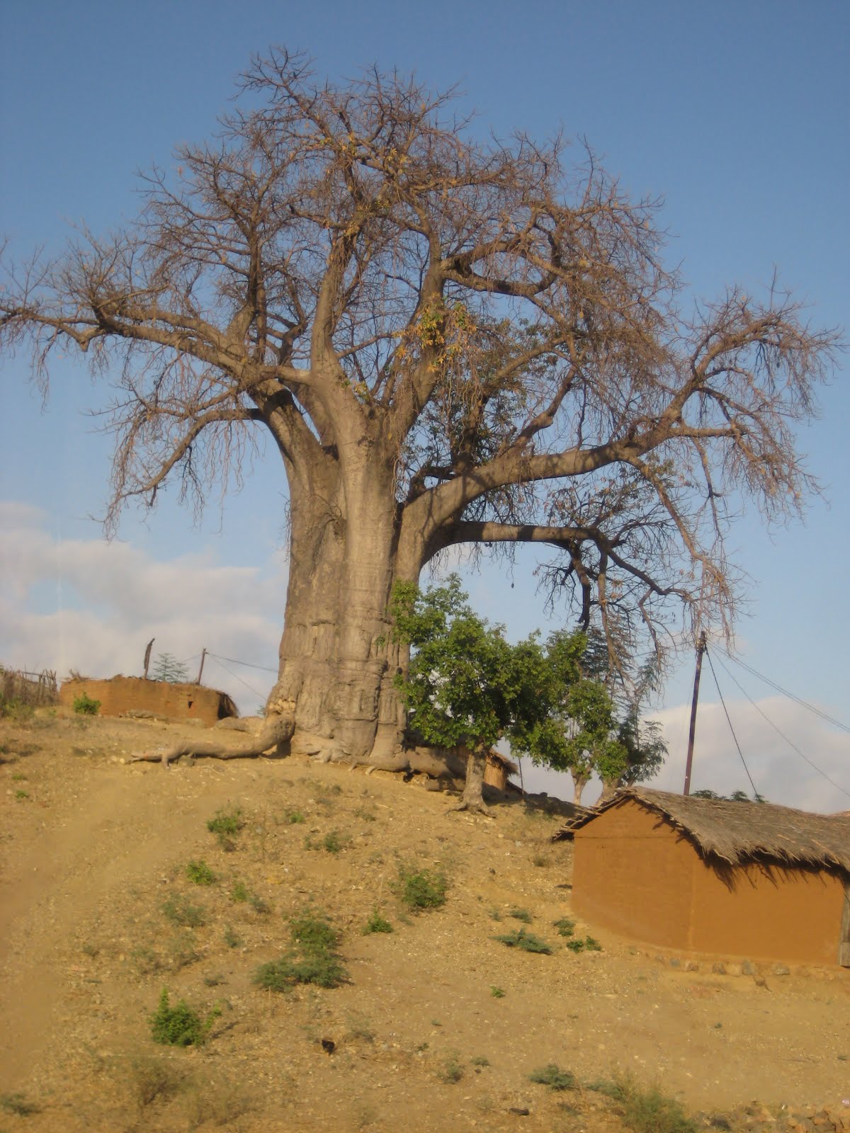 Passagens por pontos interessantes do mundo..
