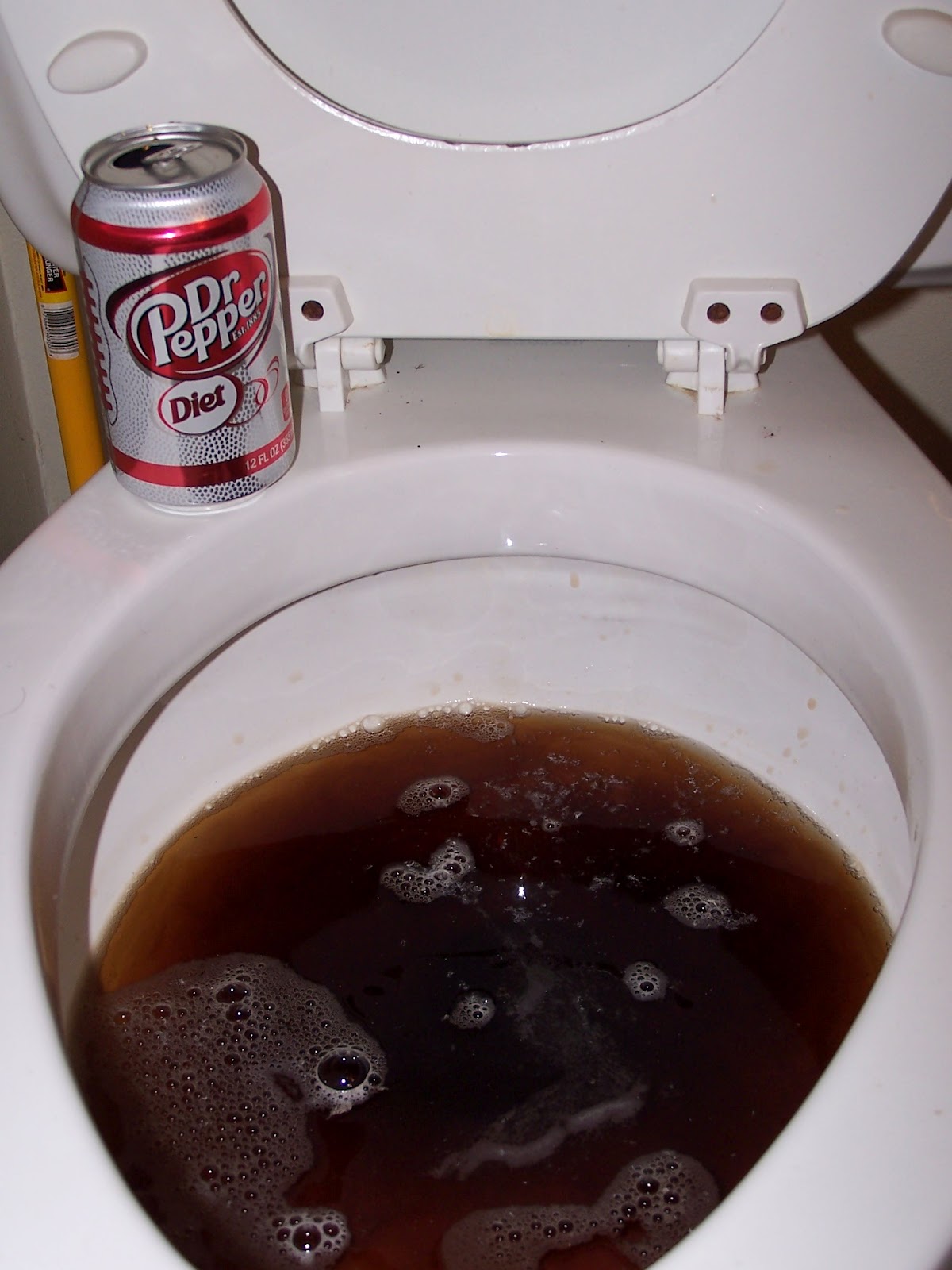 Simple Living Basics Coke in the Toilet