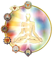 492 chakra kundalini