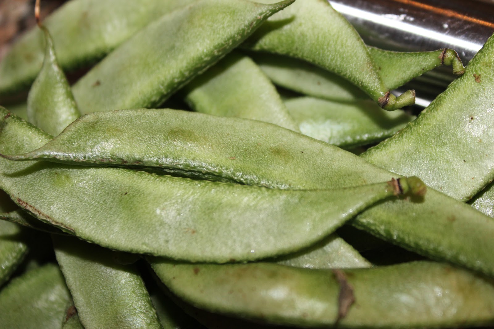 Flat bean Alchetron, The Free Social Encyclopedia