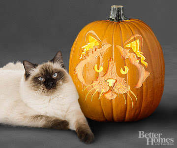 Free Pumpkin Carving Patterns & Templates - Driven by Decor