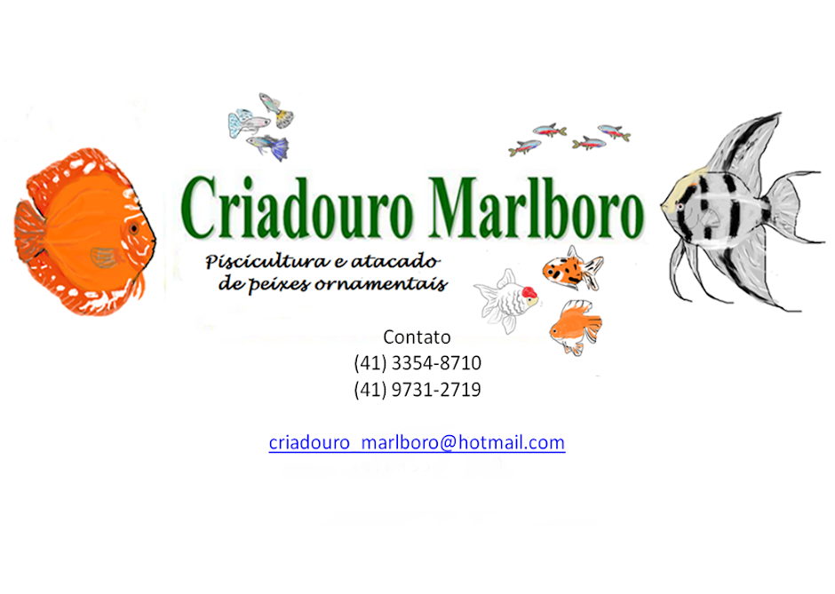 Criadouro Marlboro