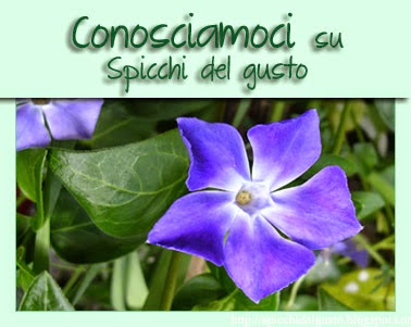 conosciamoci su spicchi del gusto