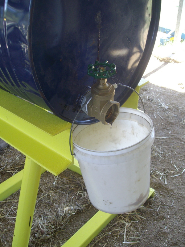 Molasses for cattle supplement feed