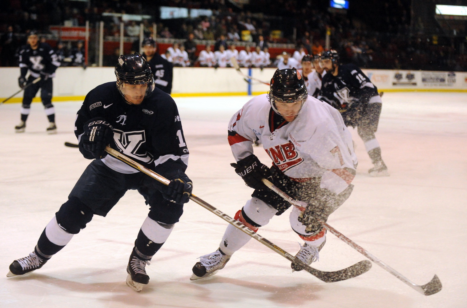 Hockey AUS Championship Update The CIS Blog