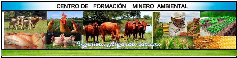Agropecuario - Alejandro Cárcamo