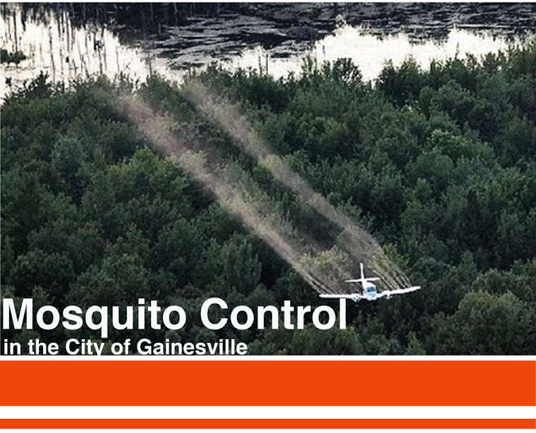 Mosquito Control in Gainesville Florida The Problem