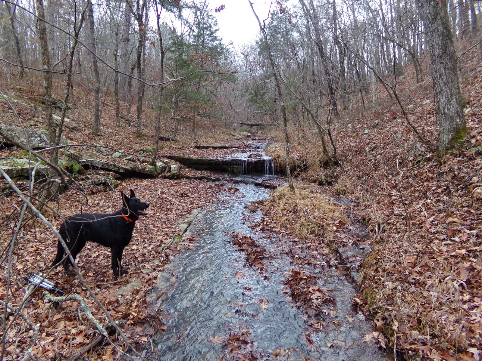 Rick's Hiking Blog Mineral Springs Falls, Arkansas Ozarks