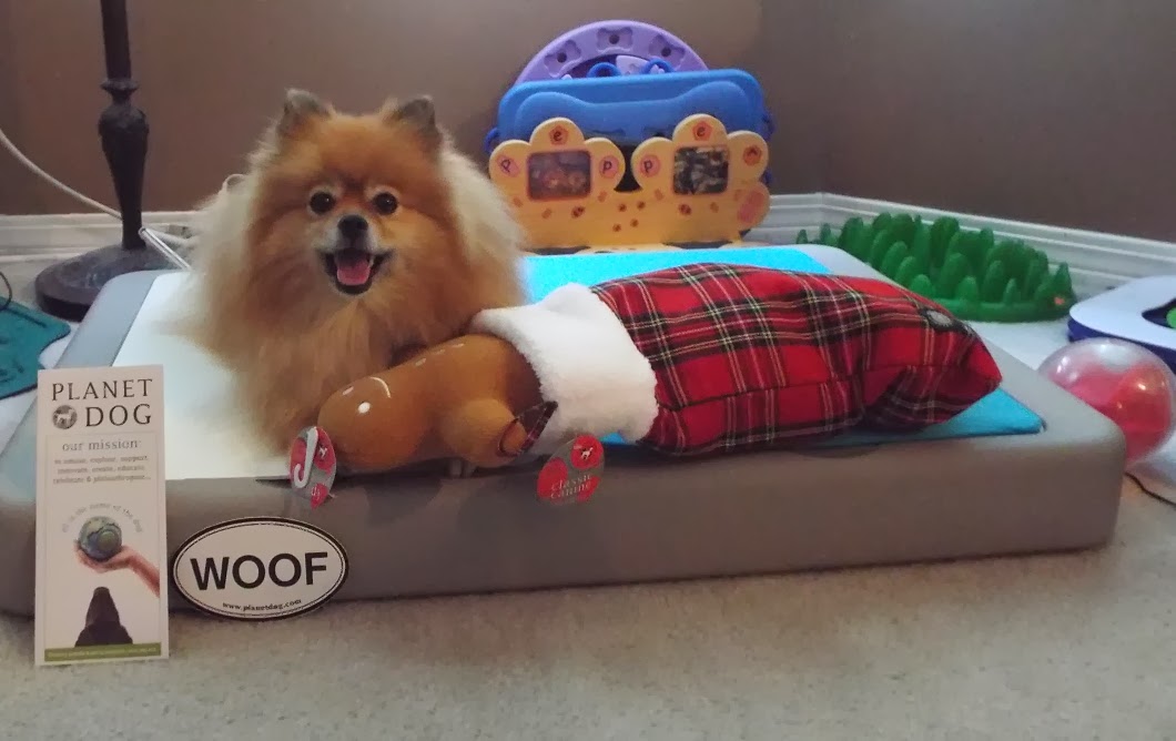 Pepper's Paws Dog Holiday Toys Pet Product Review