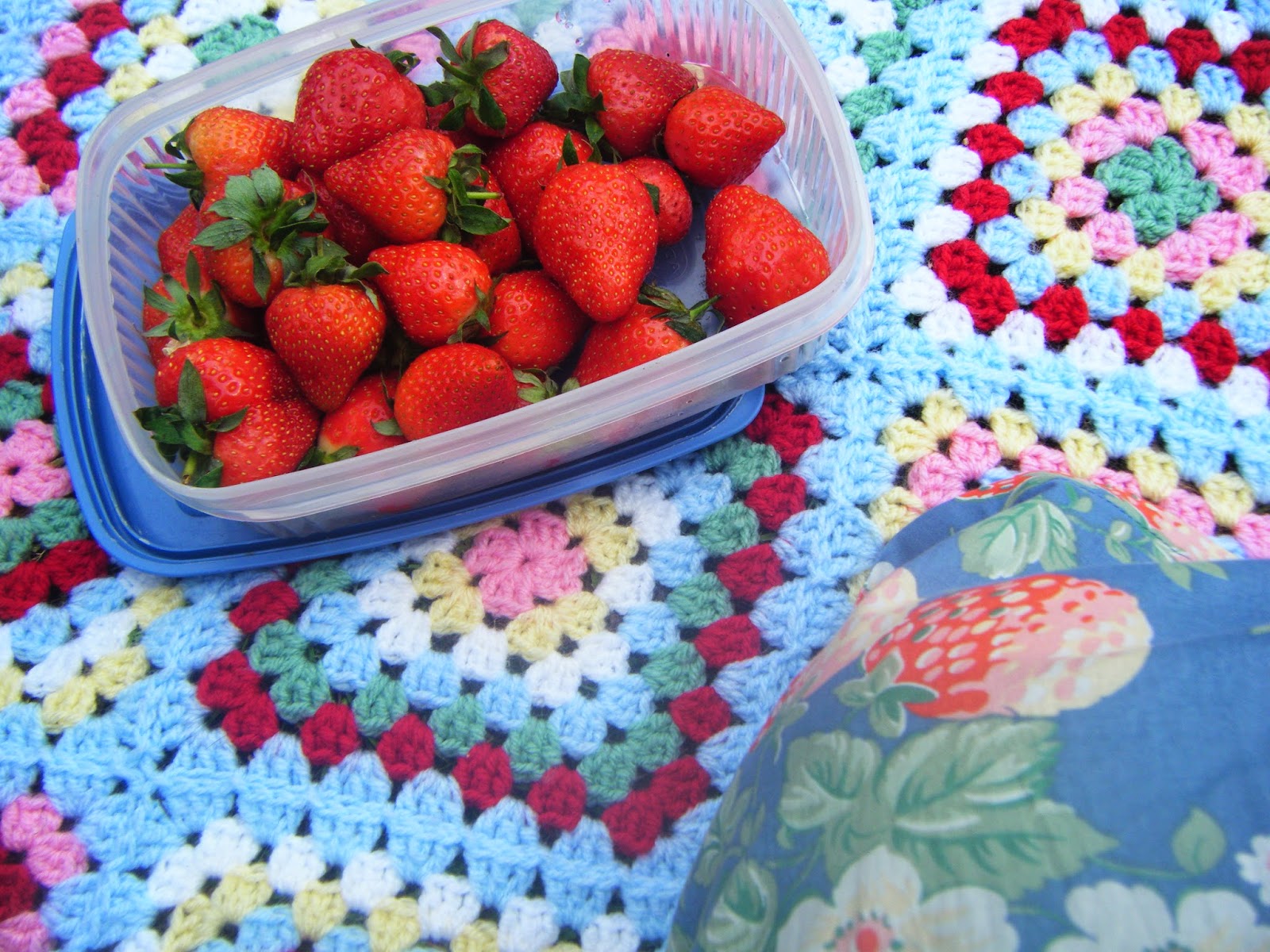 Picnic Blanket