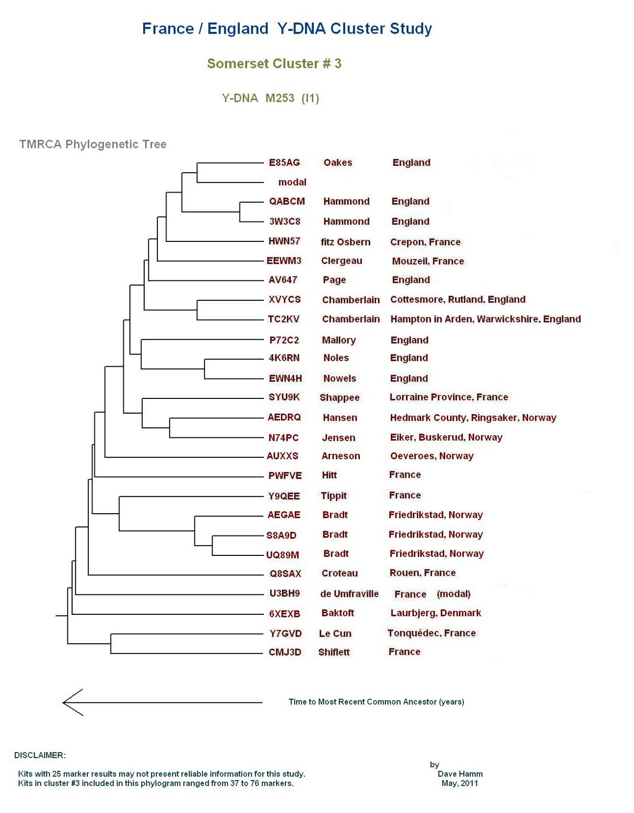 Y Chromosome Phylogeny