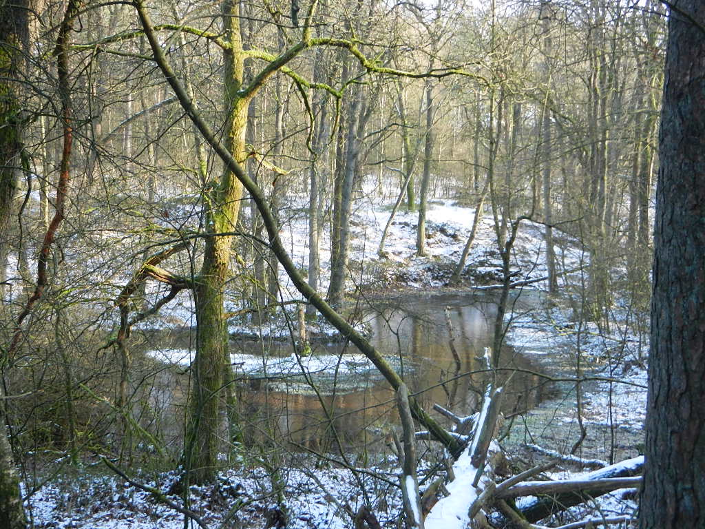 Der Wanderfreund Niedersachsen Sachsen Anhalt