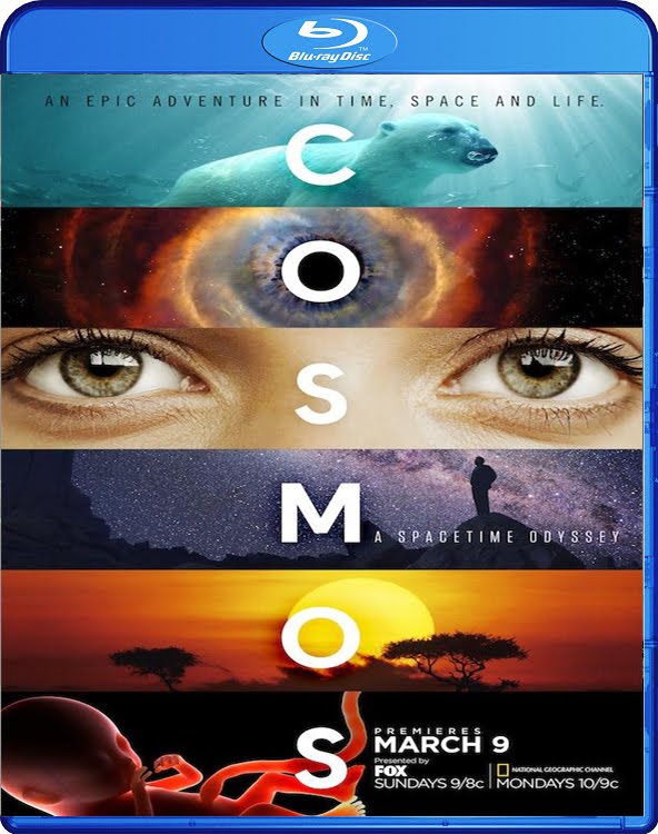 Cosmos 2014