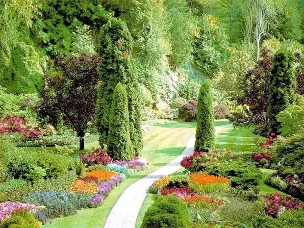 beautiful gardens - wonderful