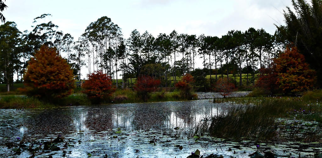 Australian Adventures Natural, Cultural information and photos! Lake