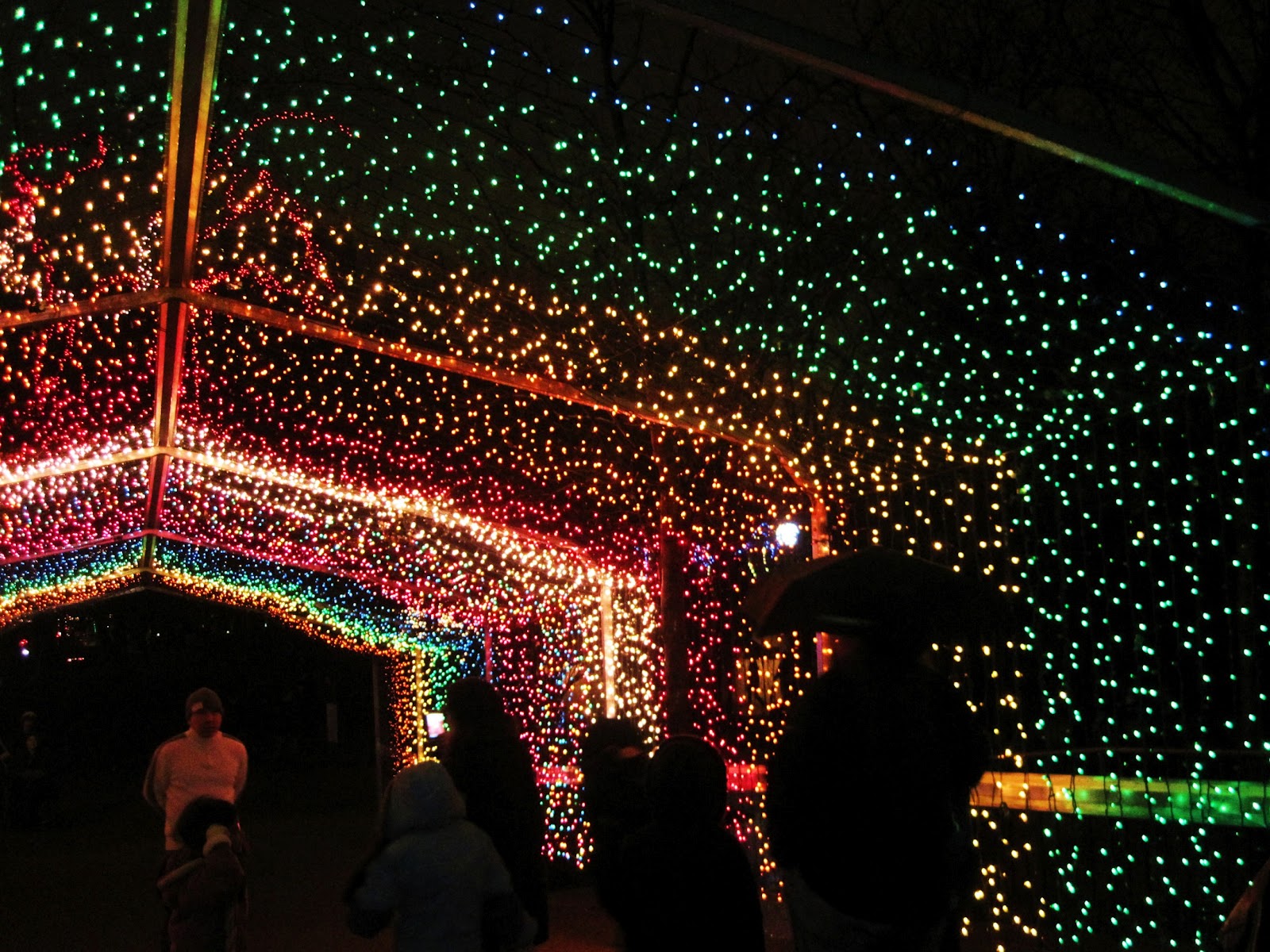 Kymberly Marciano Countdown to Christmas Childrens Zoo Lights
