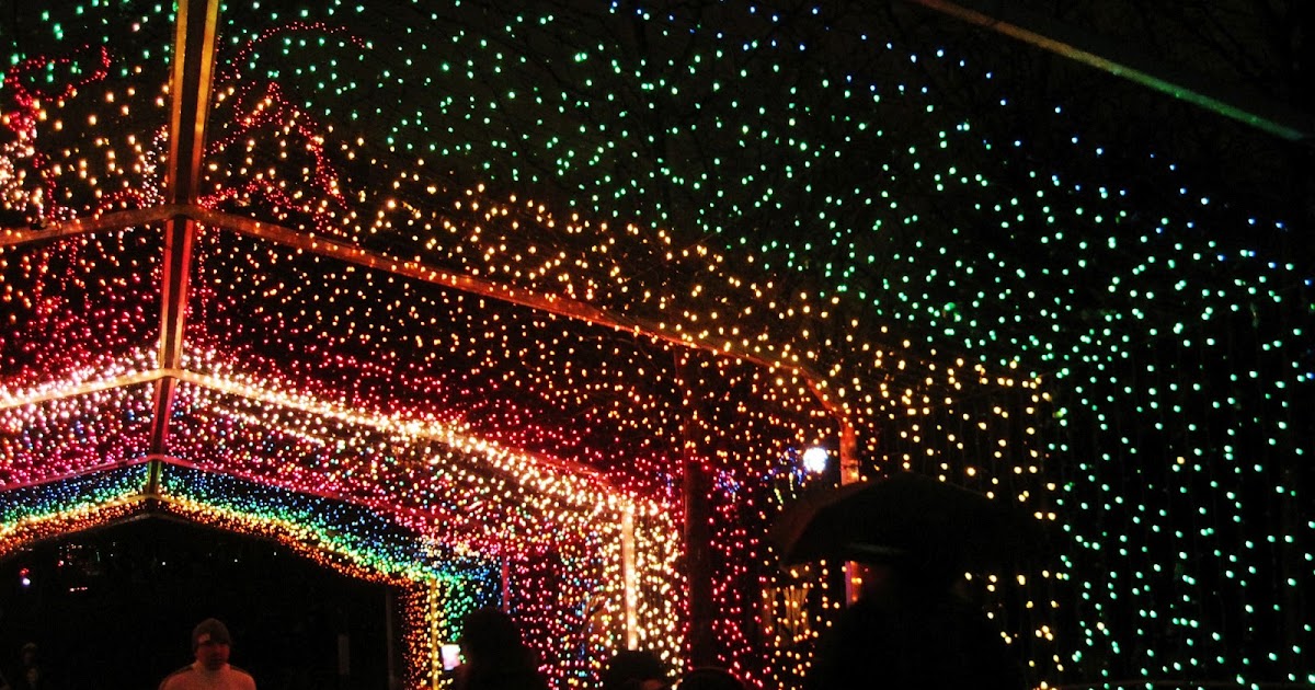 Kymberly Marciano: Countdown to Christmas: Childrens Zoo Lights