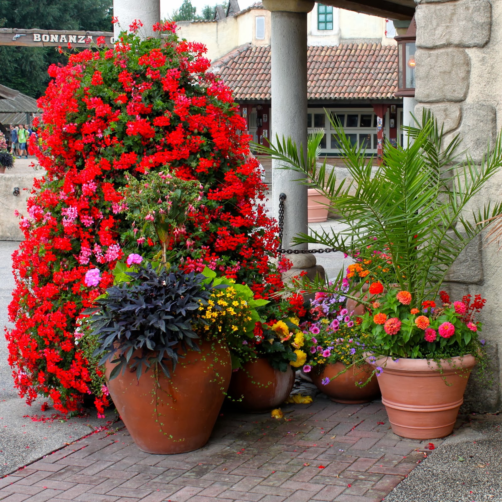 Mein Blog über Garten, Landhaus, Shabby &amp; co Ideen für