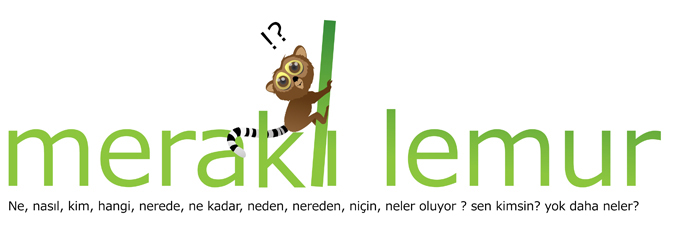 Meraklı Lemur