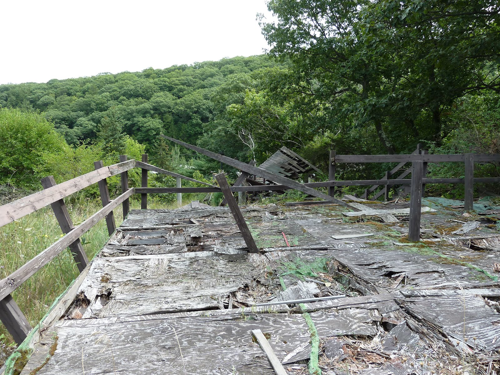 Pine Cone Johnny Mt. Tom. Because it's there.