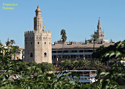 Torre del Oro