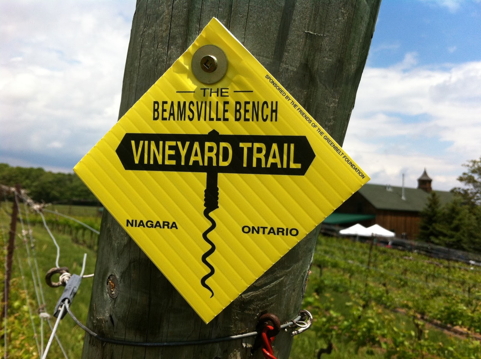 Newlywined Graze The Bench Organized Crime