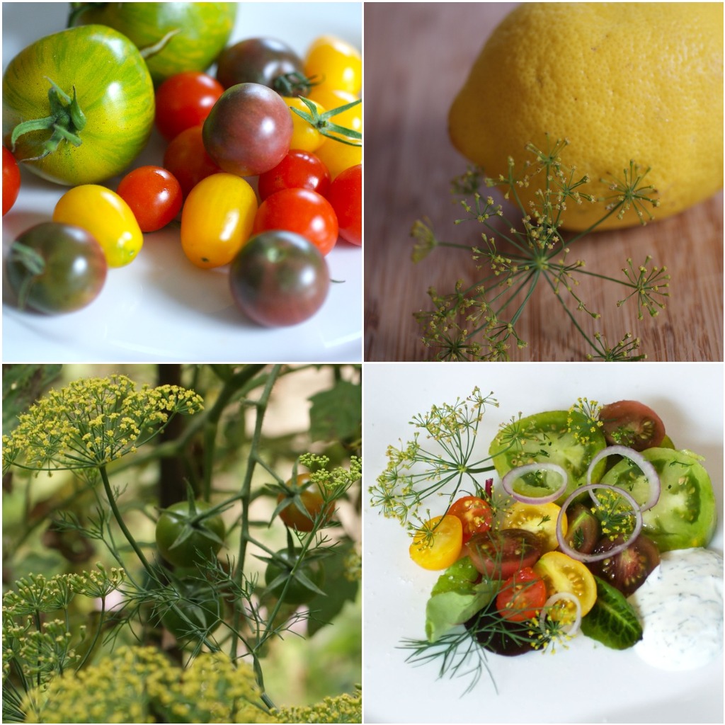 2 Stews 3 Japanese Dressings