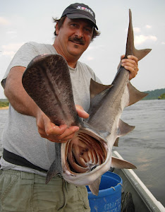 Fishing in Roane County Tennessee