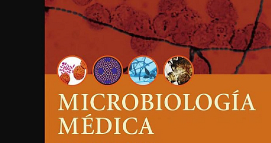 microbiologia murray 6 edicion