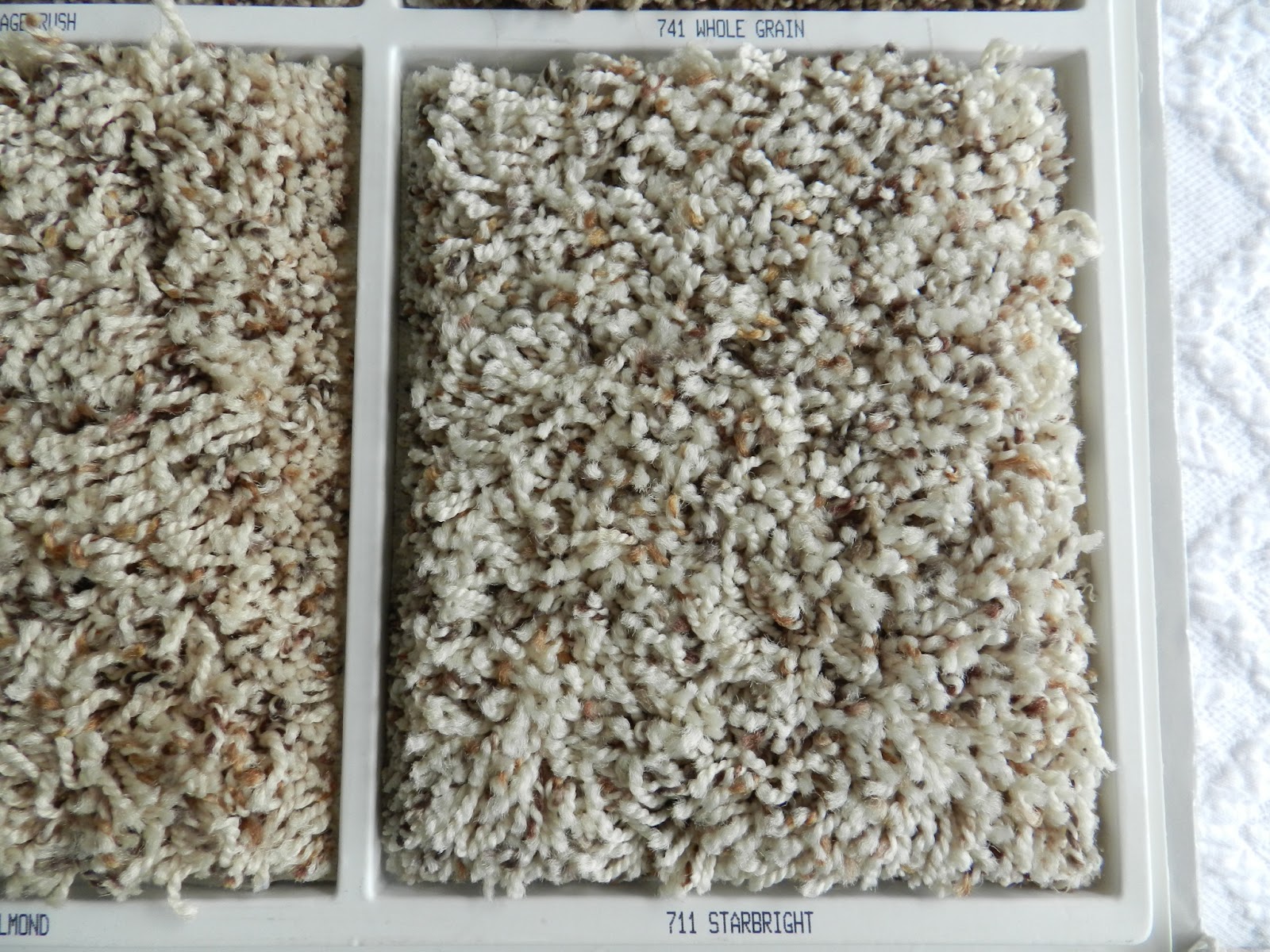 what color carpet hides dirt best My  Value