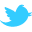 Twitter Blue Bird