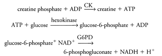 What is creatine kinase?