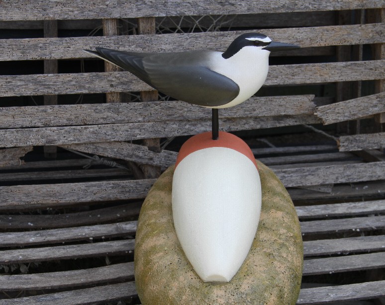 Keith Mueller Bird Carvings Sea Bird Decoys 1 (Test)
