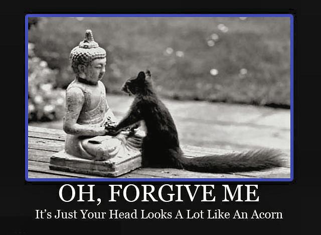 buddha squirrel