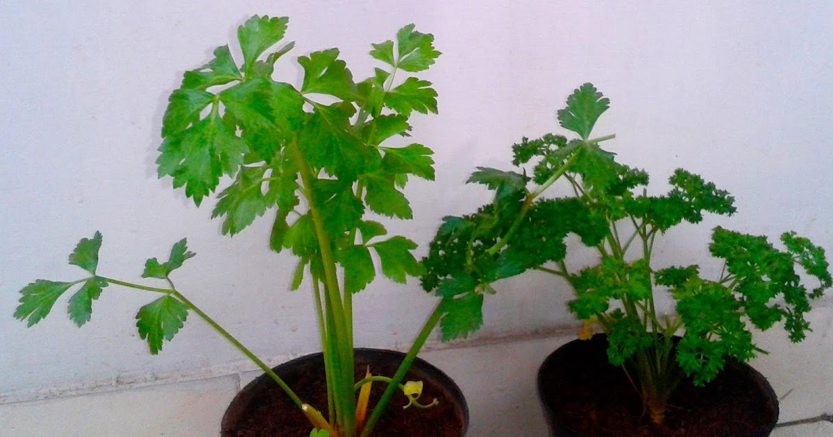 Any Good News? Hell No !